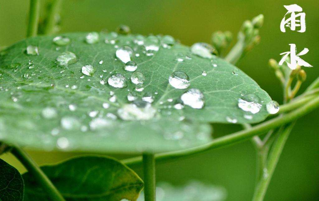 雨水！